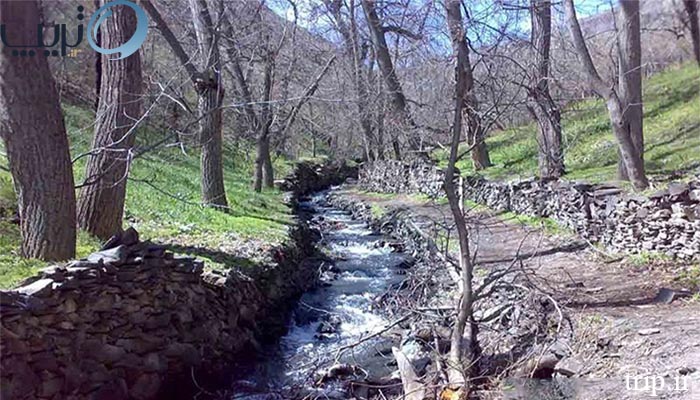 چشمه روستای کنگ