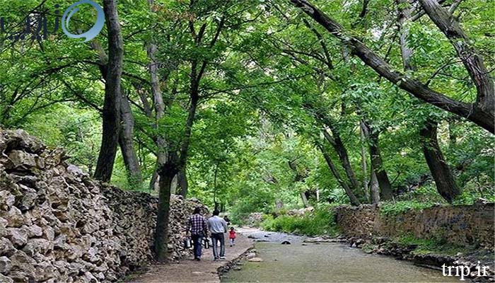 عکس روستای کنگ مشهد