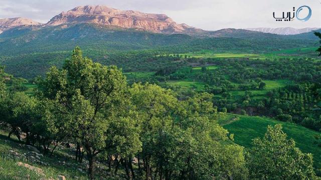 ارتفاع کوه تاف در منطقه نوژیان لرستان