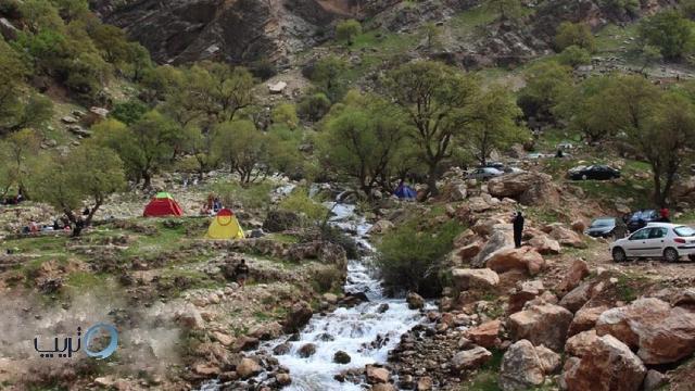 برپایی کمپ در اطراف آبشار و چشمه نوژیان