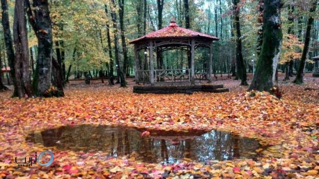 ﻿بازار گل مصنوعی ولیعصر﻿