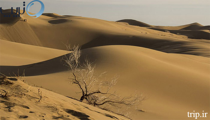 کویر حلوان در ایران