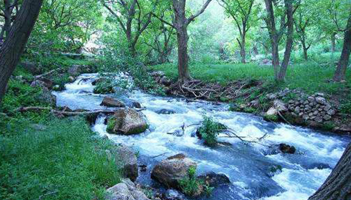 عکسی از روستای شالان کرمانشاه