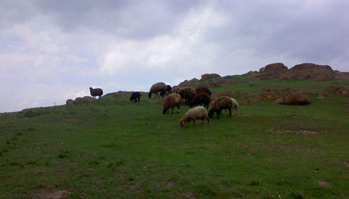 روستای سیاه کمر کرمانشاه